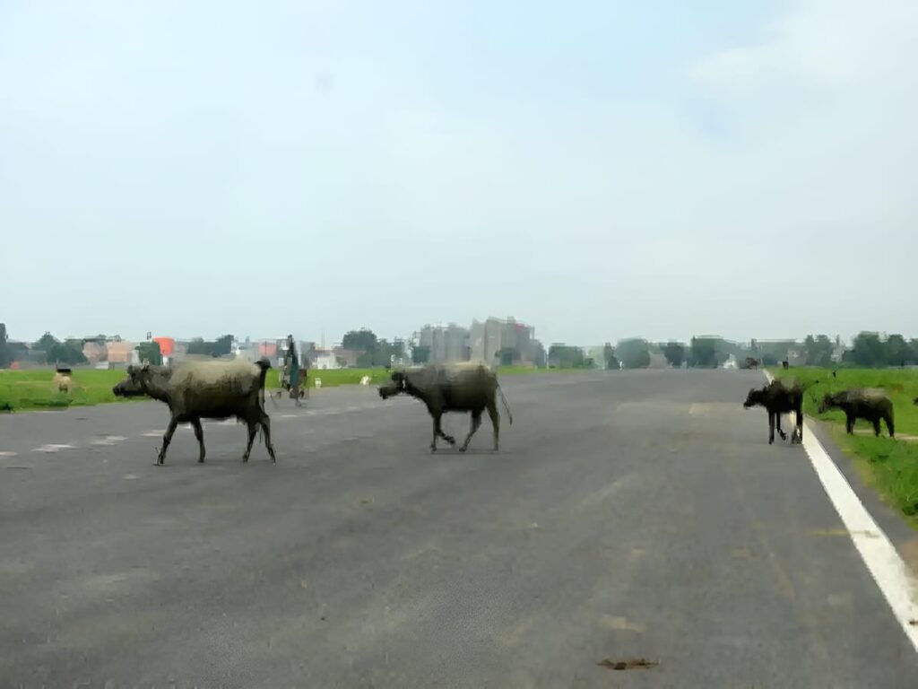 Bhagalpur Airport : बिहार के भागलपुर में Airport पर खर्च होंगे 04 करोड़, अप्रोच रोड सहित बनेगा रनवे भगलपुर एयरपोर्ट 2