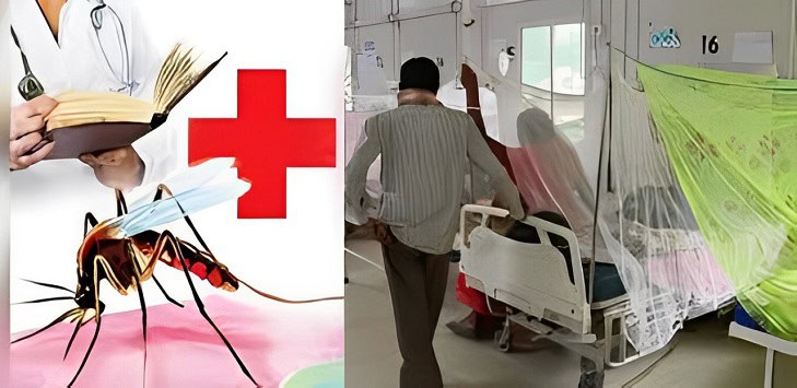 Dengue in Bihar