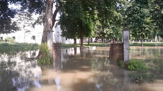 Bihar Flood: भागलपुर में बाढ़ ने लोगों की बढ़ाई मुसीबत, तस्वीर में देखें गंगा का रौद्र रूप 2 Bihar Flood: भागलपुर में बाढ़ ने लोगों की बढ़ाई मुसीबत, तस्वीर में देखें गंगा का रौद्र रूप