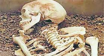 Smuggling: भारत-नेपाल सीमा पर 38 मानव खोपड़ी के साथ एक गिरफ्तार, जांच में जुटी पुलिस