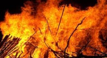 Jharkhand News: झारखंड के झुमरा पहाड़ जंगल में लगी आग, बुझाया नहीं गया तो बढ़ेंगी मुश्किलें