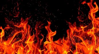 Bokaro Crime: बोकारो में पेट्रोल छिड़कर युवक को जलाया, अधजला शव मिलने से इलाके में दहशत