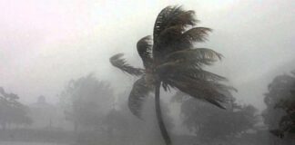 बिहार में मौसम का कहर: पटना समेत चार जिलों में रेड अलर्ट, भारी बारिश और तूफान की चेतावनी Bihar Rain Alert