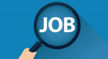 Jobs News: वन विभाग में निकली फॉरेस्ट रेंज ऑफिसर की भर्ती, 1 मई से करें आवेदन