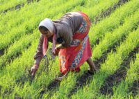 बिहार में जमीन मालिकों के लिए राहत भरी खबर.