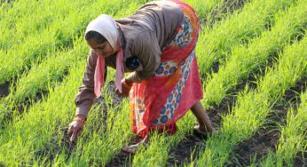 Bihar News: बिहार के जमीन मालिकों के लिए राहत, 15 अप्रैल तक अब जमा कर सकेंगे स्वघोषणा पत्र