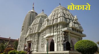 Bokaro News: डीआईजी आवास के सामने तालाब में सैकड़ों मछलियों की मौत, दूषित पानी बनी वजह