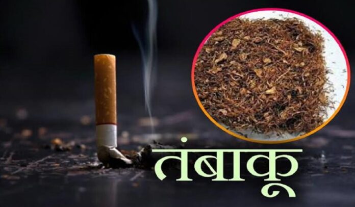 भागलपुर में हर साल 5 करोड़ का तंबाकू चबा रहे लोग