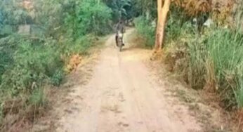 Ranchi News: झारखंड में इस साल 7347 नई ग्रामीण सड़कें बनेंगी, 22 हजार लोकेशन की हुई थी पहचान