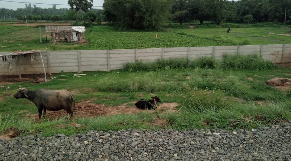 टकराव रोकेगी मजबूत दीवार