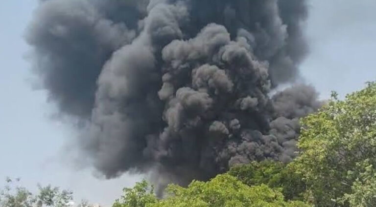 Gujarat Plane Crash: अहमदाबाद में टेकऑफ के तुरंत बाद बड़ा विमान हादसा, 242 लोगों की मौत की आशंका