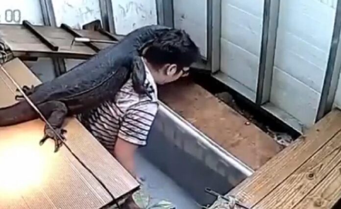 Viral Video Viral Video