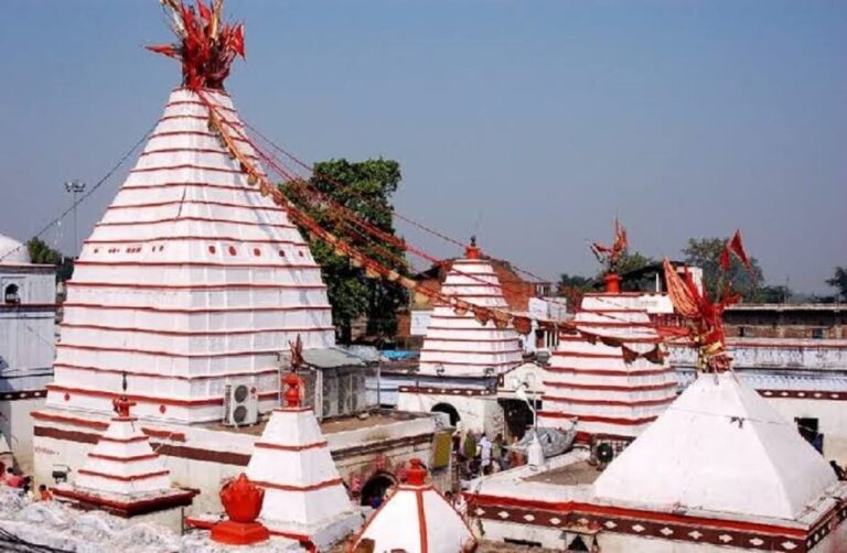 Shravani Mela 2025: बासुकिनाथ में 2 कांवरियों की मौत से गमगीन, 75 हजार से ज्यादा ने किया जलार्पण Shravani Mela 2025: बासुकिनाथ में 2 कांवरियों की मौत से गमगीन, 75 हजार से ज्यादा ने किया जलार्पण