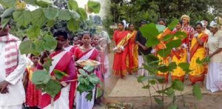 झारखंड का प्रकृति पर्व करमा आज