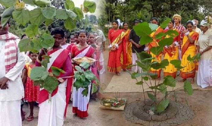 झारखंड का प्रकृति पर्व करमा आज