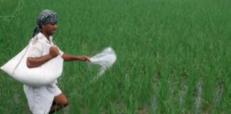 Fertilizers Subsidy: किसानों के लिए बड़ी राहत, खाद पर 38 हजार करोड़ की सब्सिडी को मंजूरी