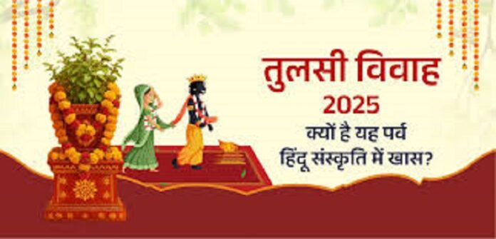 Tulsi Vivah 2025 Tulsi Vivah 2025